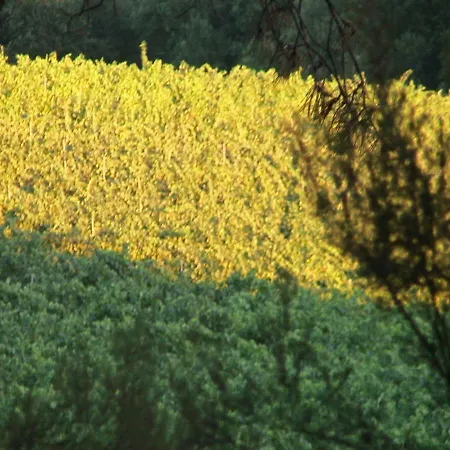 Campo Del Monte Séjour à la ferme *