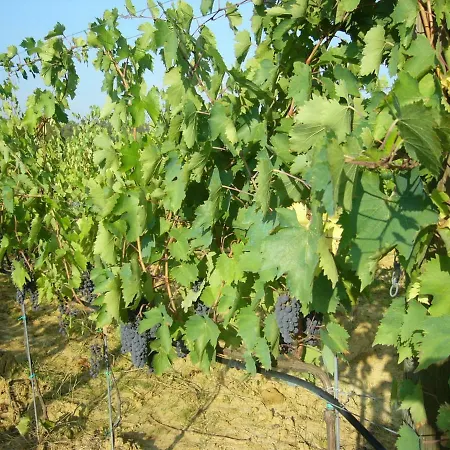 Campo Del Monte Séjour à la ferme